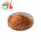 Instant Black Tea Extract Powder 20% Polyphenols For Beverage