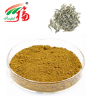 Instant White Tea Extract Powder For Health Food Additive Beverage Ingredients
