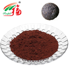 Instant Pu-Erh Tea Extract Powder Food Grade For Beverage Industry