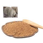 Lion′S Mane Mushroom Extract Hericium Erinaceus Extract 10%-50% Polysaccharides