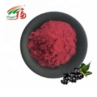 Aronia / Black Chokeberry Extract 25% Anthocyanins Anthocyanin Extract Powder