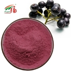 Aronia / Black Chokeberry Extract 25% Anthocyanins Anthocyanin Extract Powder