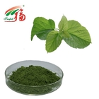 Sodium Copper Chlorophyll Powder Pure Natural Extract For Health Products