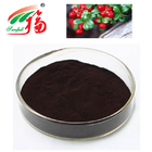 Bilberry Extract 5% Anthocyanidins For Functional Food And Food Additive