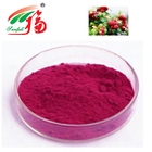 Cranberry Extract 50% Prothocyanidins For Health And Dietary Food Products