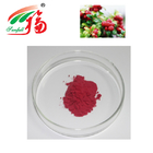 Antioxidant Cranberry Extract 25% Prothocyanidins Food Grade