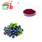 Antioxidant Bilberry Fruit Anthocyanin Extract Powder In Feed