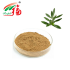 Natural Olive Leaf Extract 40% Olive Bitter Glucoside Herbal Plant Extract