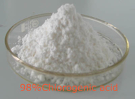 Eucommia Bark Extract Chlorogenic Acid