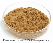 Natural Eucommia Ulmoides Bark Extract Powder 5%~98% Chlorogenic Acid