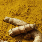 Natural Turmeric Curcuma Longa Root Extract Powder 30% 95% Curcumins
