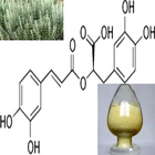 Natural Rosemary Extract 5%~98% Rosmarinic Acid / Carnosic Acid