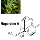 Natural Huperzia Serrata Extract 1% 98% Huperzine A