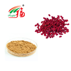 Natural Wolfberry Extract Lycium Barbarum L. Herbal Plant Extract