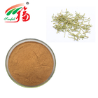 Honeysuckle Flower Extract 10:1 Herbal Plant Extract Herb Extract Powder
