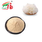 Natural White Fungus Extract 50% Polysaccharides Mushroom Extract Powder