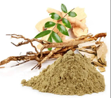 2% Eurycomanone Tongkat Ali Extract Powder To Support Healthy Immune Response