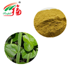 Natural Cissus Quadrangularis Extract 10:1 Herbal Plant Extract