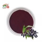 ISO SGS Certified Elderberry Fruit Powder 1%-25% Anthocyanins Elderberry Fruit Extract