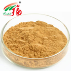 Hericium Erinaceus Extract 20% Polysaccharides For Functional Food