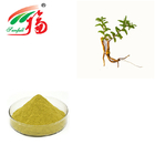 Yellow Powder Scutellaria Baicalensis Extract ISO 9001 for Immune