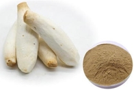 Natural Coprinus Comatus Extract 50% Polysaccharides Mushroom Extract Powder