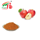 Apple Extract 10-98% Polyphenols Phloridzin Phloretin Herbal Plant Extract
