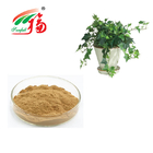 Natural IVY Extract 1% 20% Hederacoside C Herbal Plant Extract