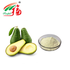 Natural Avocado Extract Powder 10:1 Herbal Plant Extract