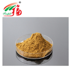 Natural Menthae Haplocalycis Extract Peppermint Leaf Extract 10:1
