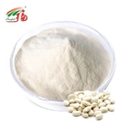 White Kidney Bean Extract 1%-2% Phaseolin HPLC Plant Extract For Losing Weight