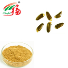 Milk Thistle Extract 80% Silymarin Herbal Plant Extract For Liver Protection