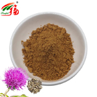 Milk Thistle Extract 80% Silymarin Herbal Plant Extract For Liver Cell Growth