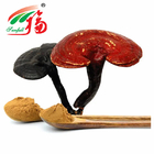 Reishi Mushroom Extract 20% Polysaccharides For Food Supplements