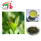 Green Tea Extract Powder Catechins & Polyphenols Anti Radiation Anti-Oxidation Antibacterial