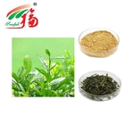 Instant Green Tea Extract Powder Catechins and Polyphenols Anti-oxidation Health Food Additive