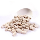 Herbal Plant White Kidney Bean Extract 1% Phaseolamin Supplement 80 Mesh Screen
