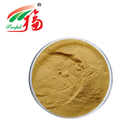 Health Food Herbal Plant Pumpkin Seed Extract Powder 10:1 HALAL Certified