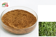 20% - 30%  L Theanine Natural Green Tea Extracts Herbal Supplement HPLC