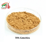 70% Catechins Green Tea Extract Powder 98% Polyphenols For Pharmaceutical