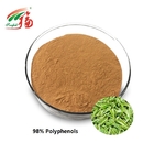 70% Catechins Green Tea Extract Powder 98% Polyphenols For Pharmaceutical
