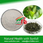 90% EGC Active Pharmaceutical Ingredient Epigallocatechin Camellia Green Tea Extract