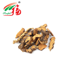 10:1 Herbal Plant Extract / Atractylodes Macrocephala Root Extract For Indigestion
