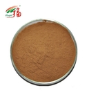 Polyphenol 70% Catechins Green Tea Extract Powder 40% EGCG For Anti Allergy