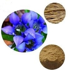 70% Gentiopicroside Gentian Root Extract Natural Raw Cosmetic Materials