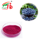 Bilberry Fruit And Veggie Powder Extract 25% Anthocyanidins For Smoothies