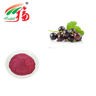 5 - 20% Anthocyanidins Black Currant Fruit Powder Extract Purple Red