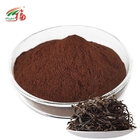 Instant PU-Erh Green Tea Extract Powder 20% Polyphenols For Beverage