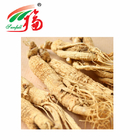 Panax Ginseng Extract Powder Root Yellow HPLC For Functional Food