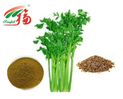 Brown yellow Veggie Fruit Powder / Celery Seed Extract For Antiseptic